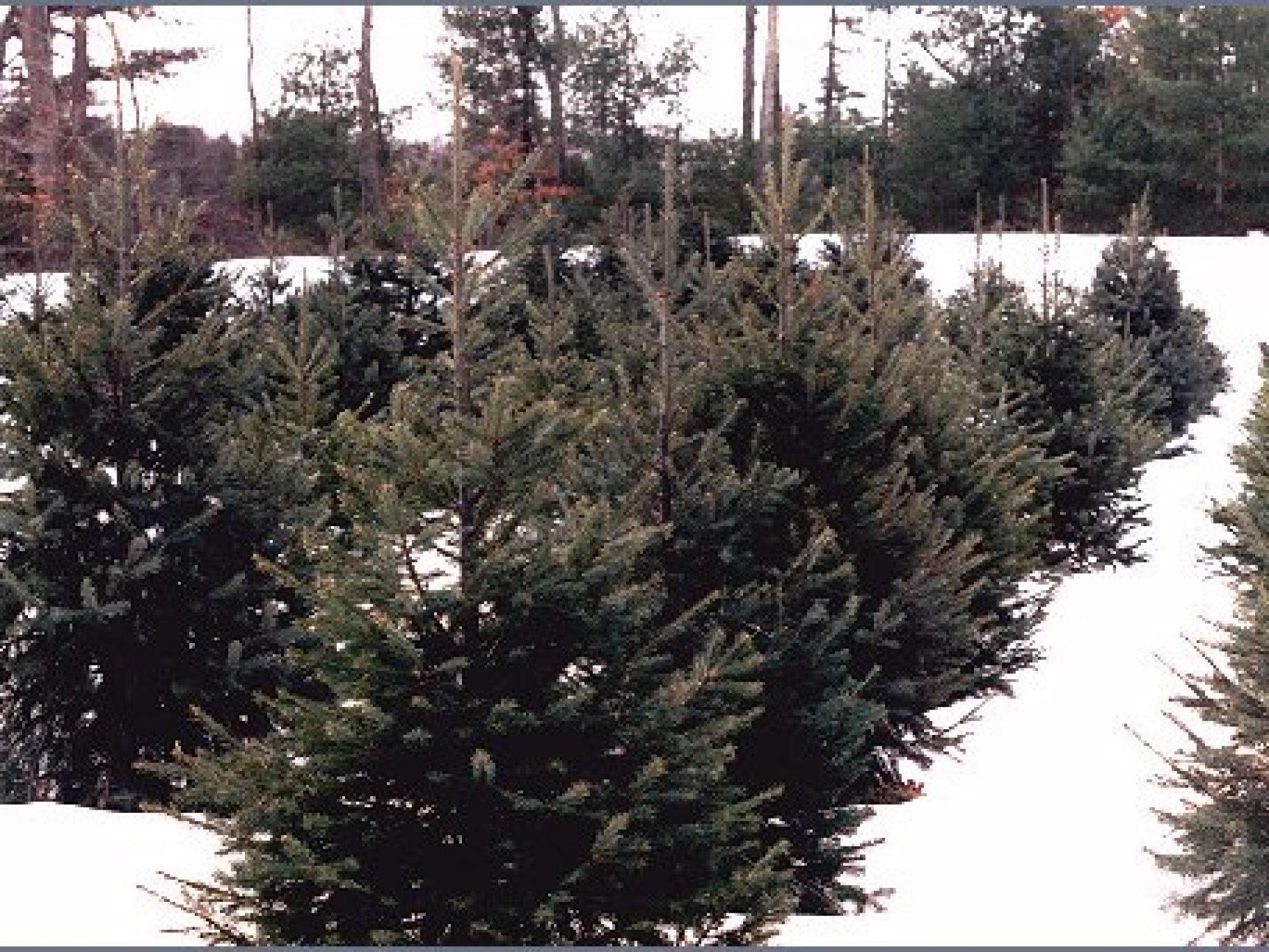 Boxford Essex National Heritage Area